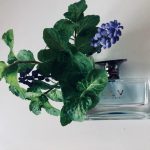 عطر ادکلن بلو او دِت بولگاری - BLV Eau d'Ete Bvlgari - بررسی، قیمت و خرید