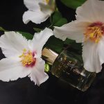 عطر ادکلن آکوا دی پارما جِلسومینو نوبیل آکوا دی پارما - Acqua di Parma Gelsomino Nobile Acqua di Parma - بررسی، قیمت و خرید