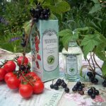 عطر ادکلن لیستیا توماتا ای چرنو سمورادینی بروکارد - Листья томата и черной смородины - Tomato and Black Currant Leaves Brocard - بررسی، قیمت و خرید