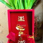عطر ادکلن آسنت روژ الکساندر جی - Oscent Rouge Alexandre.J - بررسی، قیمت و خرید