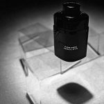 عطر ادکلن بنتلی فور من ابسولوت بنتلی - Bentley For Men Absolute Bentley - بررسی، قیمت و خرید