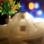 عطر ادکلن کُوچ دریمز کُوچ - Coach Dreams Coach - بررسی، قیمت و خرید