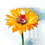 عطر ادکلن کُوچ پاپی کوچ - Coach Poppy Coach - بررسی، قیمت و خرید