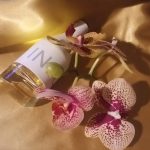 عطر ادکلن سی کی این تو یو فور هر کلوین کلاین - CK IN2U for Her Calvin Klein - بررسی، قیمت و خرید