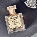 عطر ادکلن عود ماکسیماس بورتنیکوف - Oud Maximus Bortnikoff - بررسی، قیمت و خرید