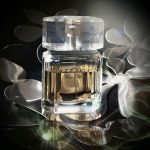 عطر ادکلن آزارو پور اله آزارو - Azzaro Pour Elle Azzaro - بررسی، قیمت و خرید