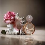 عطر ادکلن رز گلدیا بولگاری - Rose Goldea Bvlgari - بررسی، قیمت و خرید