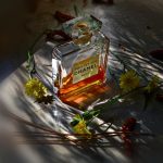 عطر ادکلن بوا دزیل شانل - Bois des Iles Chanel - بررسی، قیمت و خرید
