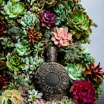 عطر ادکلن بلک سوان بروکارد - Black Swan (Черный лебедь) Brocard - بررسی، قیمت و خرید