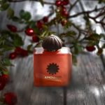 عطر ادکلن گایدنس آمواج - Guidance Amouage - بررسی، قیمت و خرید