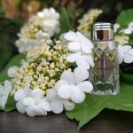 عطر ادکلن پلاس وندوم او دو توالت بوشرون - Place Vendome Eau de Toilette Boucheron - بررسی، قیمت و خرید