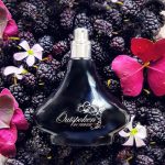 عطر ادکلن آوت‌اسپوکن بای فرگی اِی‌وون - Outspoken by Fergie Avon - بررسی، قیمت و خرید