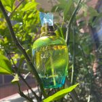 عطر ادکلن سلافت کریستین لاکروآ - C'est La Fete Christian Lacroix - بررسی، قیمت و خرید