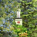 عطر ادکلن کانفلونس چاتیلون لوکس پرفیوم - Confluence Chatillon Lux Parfums - بررسی، قیمت و خرید