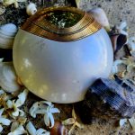 عطر ادکلن آکوا دیوینا بولگاری - Aqva Divina Bvlgari - بررسی، قیمت و خرید