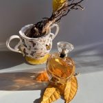 عطر ادکلن سن لایت کازموگونی - Sun Light Cosmogony - بررسی، قیمت و خرید