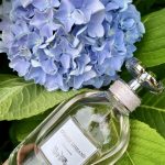 عطر ادکلن کُوچ دریمز کُوچ - Coach Dreams Coach - بررسی، قیمت و خرید