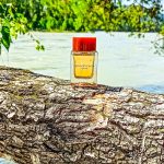 عطر ادکلن ایلوشن فور هر بوتگا ونتا - Illusione for Her Bottega Veneta - بررسی، قیمت و خرید