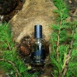 عطر ادکلن کول آندریا ماک - Coal Andrea Maack - بررسی، قیمت و خرید