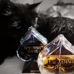 عطر ادکلن د کویین آو اسپیدز کلاسیک بروکارد - The Queen of Spades Classic Brocard - بررسی، قیمت و خرید
