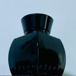 عطر ادکلن آزارو پور هوم بویس پرسیوز آزارو - Azzaro pour Homme Bois Precieux Azzaro - بررسی، قیمت و خرید