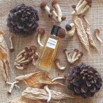 عطر ادکلن لیز اکسکلوزیف دو شانل سیکومور شانل - Les Exclusifs de Chanel Sycomore Chanel - بررسی، قیمت و خرید