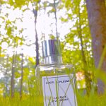 عطر ادکلن پروفاند اورنج وود اِنجل شلسر - Profound Orange Wood Angel Schlesser - بررسی، قیمت و خرید