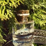 عطر ادکلن بوشارون کاتر بوشِرون - Boucheron Quatre Boucheron - بررسی، قیمت و خرید