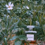 عطر ادکلن بوا دزیل پارفوم شانل - Bois Des Iles Parfum Chanel - بررسی، قیمت و خرید