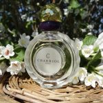 عطر ادکلن چاریول ادو تویلت چاریول - Charriol Eau de Toilette Charriol - بررسی، قیمت و خرید