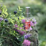 عطر ادکلن کارجالان توکسو آروما کارلِیا - Karjalan tuoksu Aroma Karelia - بررسی، قیمت و خرید