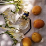 عطر ادکلن نومَد نویی دِ اِگیپت کلویی - Nomade Nuit d’Egypte Chloé - بررسی، قیمت و خرید