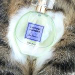 عطر ادکلن له رِوِر بروکارد - Les Reveurs Brocard - بررسی، قیمت و خرید