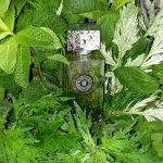 عطر ادکلن بوهِمیَن آرته پروفومی - Bohemien Arte Profumi - بررسی، قیمت و خرید