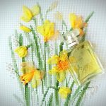 عطر ادکلن شانل نامبر نوزده پودره شانل - Chanel No 19 Poudre Chanel - بررسی، قیمت و خرید