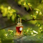 عطر ادکلن آکاسیوسا پرفیوم کارن - Acaciosa Parfum Caron - بررسی، قیمت و خرید