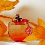 عطر ادکلن کوچ فلورال بلش کوچ - Coach Floral Blush Coach - بررسی، قیمت و خرید