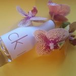 عطر ادکلن سی کی این تو یو فور هر کلوین کلاین - CK IN2U for Her Calvin Klein - بررسی، قیمت و خرید