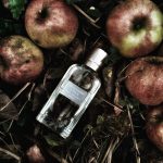 عطر ادکلن فرست اینستینکت شیر ابرکرامبی اند فچ - First Instinct Sheer Abercrombie & Fitch - بررسی، قیمت و خرید