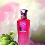 عطر ادکلن توپای لاو بلند عود - Tupai Love Blend Oud - بررسی، قیمت و خرید