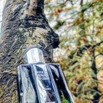 عطر ادکلن ایمپکت پور اون اوم کارون - Impact Pour Un Homme Caron - بررسی، قیمت و خرید