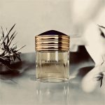 عطر ادکلن بوشِرون پور هوم بوشِرون - Boucheron Pour Homme Boucheron - بررسی، قیمت و خرید