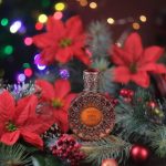 عطر ادکلن د کینگ پرینسس بروکارد - The King Princess (Царь Девица) Brocard - بررسی، قیمت و خرید