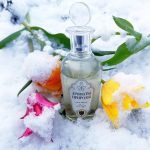عطر ادکلن تولپان ای میموزا بروکارد - Тюльпан и мимоза - Tulip and Mimosa Brocard - بررسی، قیمت و خرید