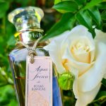 عطر ادکلن آگوا فرسکا د روزاس بلانکاس آدولفو دومینگز - Agua Fresca de Rosas Blancas Adolfo Dominguez - بررسی، قیمت و خرید