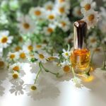 عطر ادکلن آروماتیکس الکسیر کلینیک - Aromatics Elixir Clinique - بررسی، قیمت و خرید