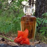 عطر ادکلن ‌وانس آپان اِ تایم فایربلوم بروکارد - Once Upon A Time Firebloom Brocard - بررسی، قیمت و خرید