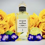 عطر ادکلن نوت دی کولونیا ۱ آکوا دی پارما - Note di Colonia I Acqua di Parma - بررسی، قیمت و خرید
