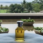 عطر ادکلن اتریوس بویز ۱۹۲۰ - Aethereus Bois 1920 - بررسی، قیمت و خرید