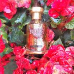 عطر ادکلن کام لا لونا بویز نوزده بیست - Come la Luna Bois 1920 - بررسی، قیمت و خرید